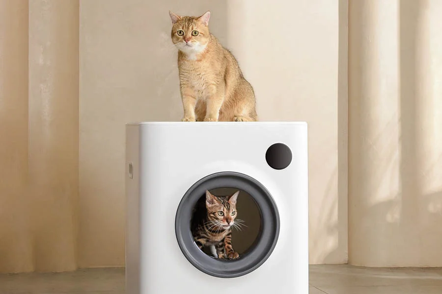 litter box for 2 cats