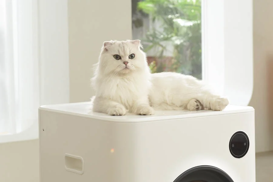 best automatic cat litter